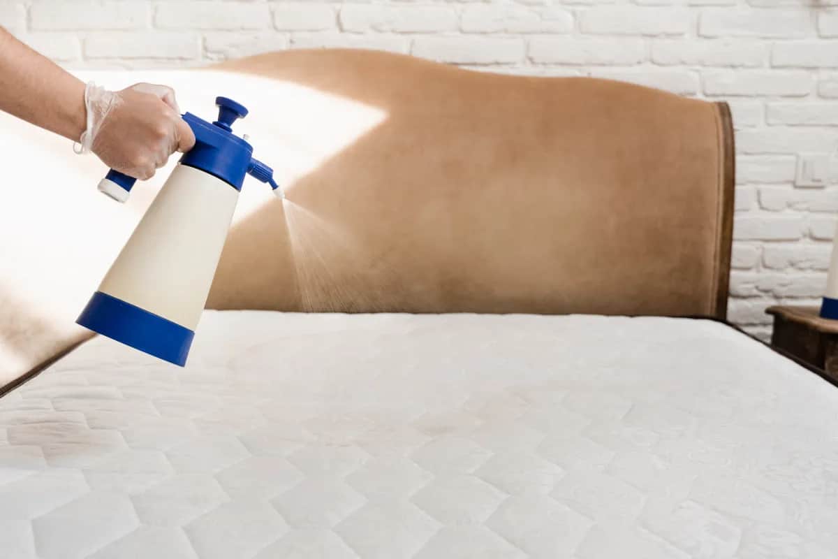 Żółte plamy na materacu? Usuń je skutecznie i bezpiecznie!