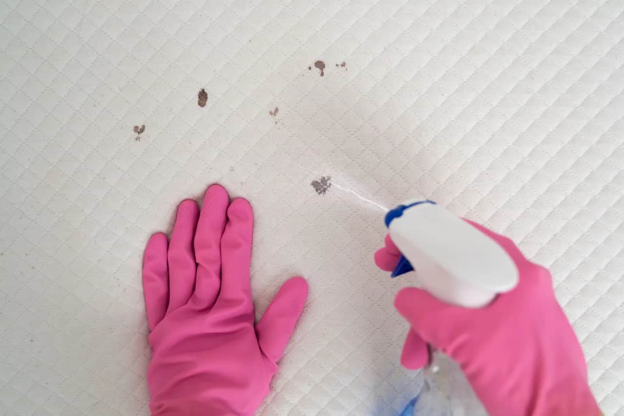 Pleśń na materacu? Pozbądź się jej! Zdrowie i czysty materac.